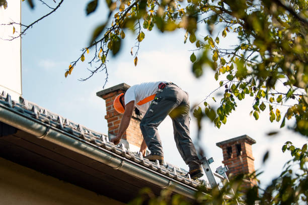 Best Roof Leak Repair  in Dickson City, PA